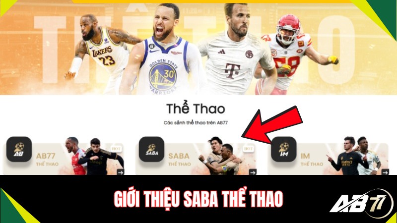 Giới thiệu SABA Thể Thao